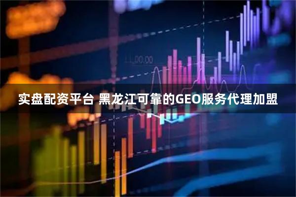 实盘配资平台 黑龙江可靠的GEO服务代理加盟